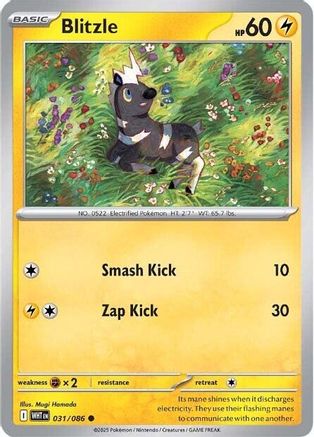 Blitzle (31) - [SV: White Flare] Reverse Holofoil Pokemon Single Pokémon