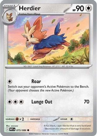 Herdier (75) - [SV: White Flare] Reverse Holofoil Pokemon Single Pokémon