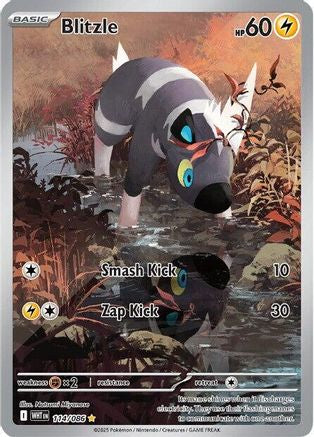 Blitzle - 114/086 Holofoil [SV: White Flare] Pokemon Single Pokémon