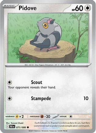 Pidove (71) Reverse Holofoil [SV: Black Bolt] Pokemon Single Pokémon