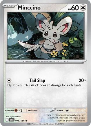 Minccino (75) Reverse Holofoil [SV: Black Bolt] Pokemon Single Pokémon