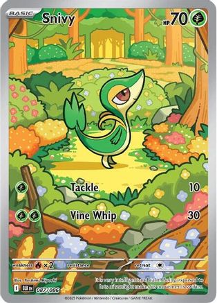 Snivy - 087/086 Holofoil [SV: Black Bolt] Pokemon Single Pokémon