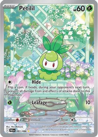 Petilil - 091/086 Holofoil [SV: Black Bolt] Pokemon Single Pokémon