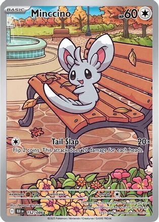 Minccino - 152/086 Holofoil [SV: Black Bolt] Pokemon Single Pokémon