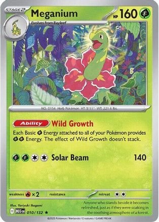 Meganium (10) Holofoil [ME01 Mega Evolution] Pokemon Single Pokémon