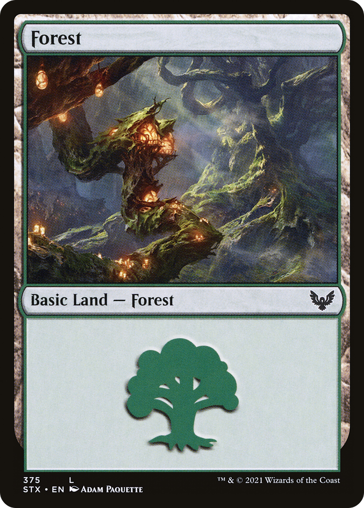 Forest (STX-375) [Strixhaven: School of Mages] Foil MTG Single Wizards of the Coast