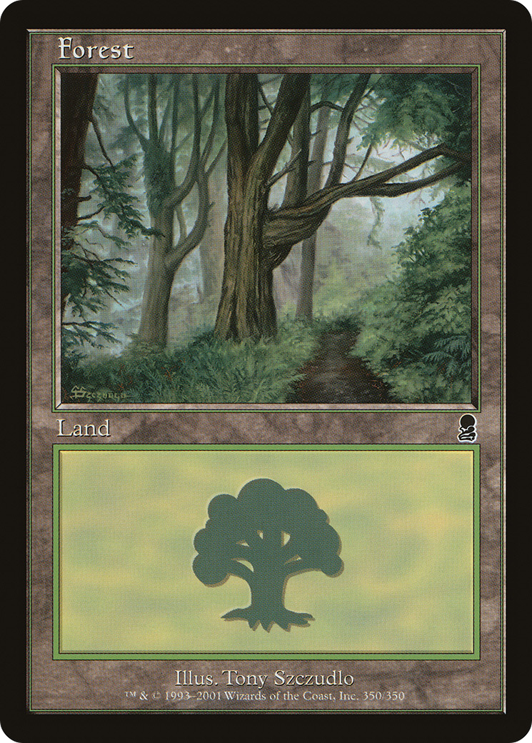 Forest (ODY-350) [Odyssey] MTG Single Wizards of the Coast