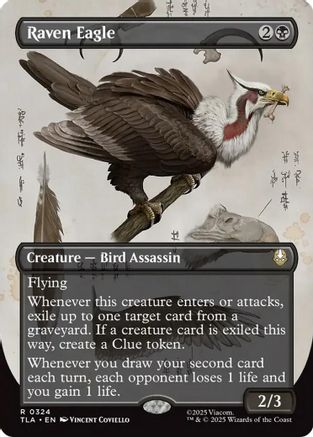 Raven Eagle (Borderless) (TLA-324) [Avatar: The Last Airbender] MTG Single Wizards of the Coast