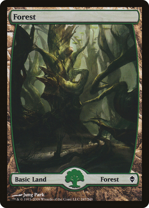 Forest (ZEN-247) [Zendikar] Foil MTG Single Wizards of the Coast