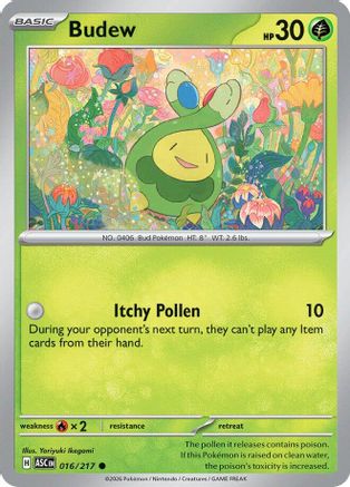 Budew - 016/217 [ME Ascended Heroes] Pokemon Single Pokémon