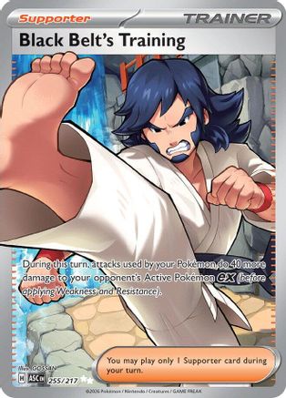 Black Belt's Training (255) Holofoil [ME Ascended Heroes] Pokemon Single Pokémon