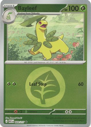 Bayleef (Energy Symbol Pattern) (9) Reverse Holofoil [ME Ascended Heroes] Pokemon Single Pokémon