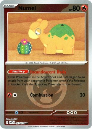 Numel - 027/217 (Energy Symbol Pattern) Reverse Holofoil [ME Ascended Heroes] Pokemon Single Pokémon