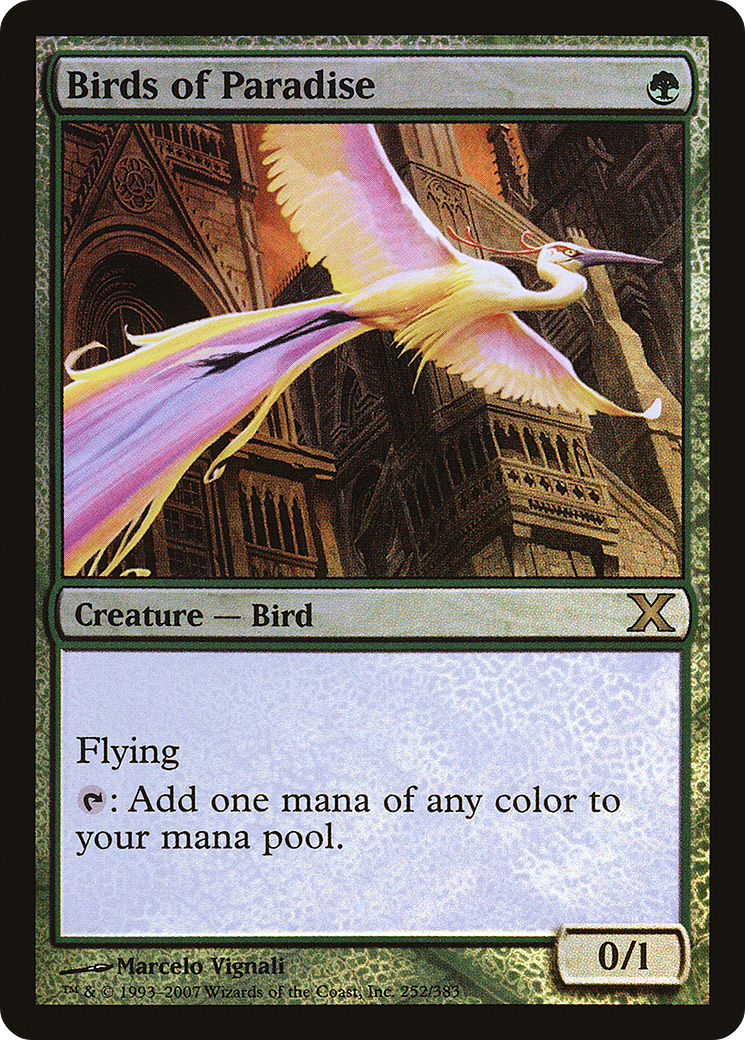 Birds of Paradise (10E-252★) [Tenth Edition] Foil MTG Single Wizards of the Coast