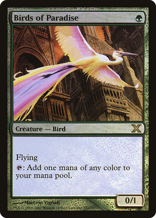Birds of Paradise (10E-252★) [Tenth Edition] Foil MTG Single Wizards of the Coast