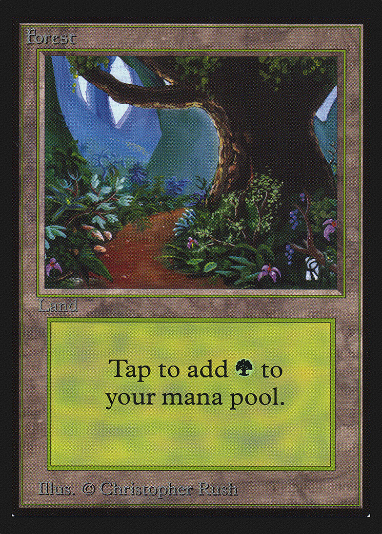 Forest (CED-301) [Collectors' Edition] MTG Single Wizards of the Coast