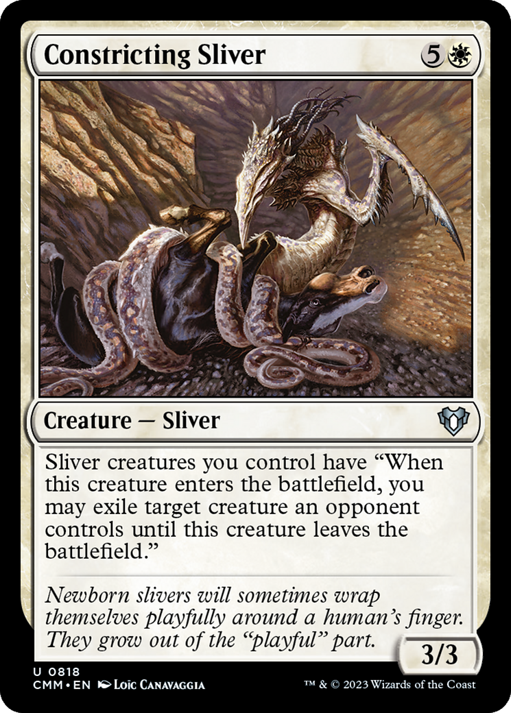Constricting Sliver (CMM-818) [Commander Masters] MTG Single Wizards of the Coast