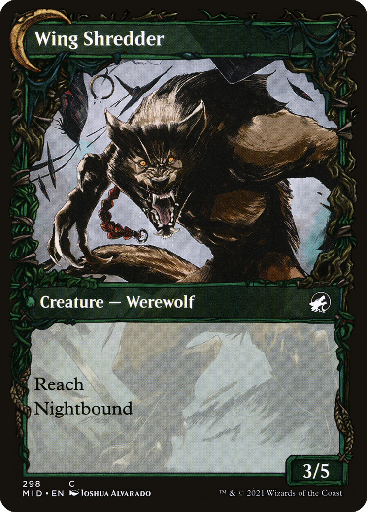 Bird Admirer (MID-298) [Innistrad: Midnight Hunt] (Showcase) Foil MTG Single Wizards of the Coast