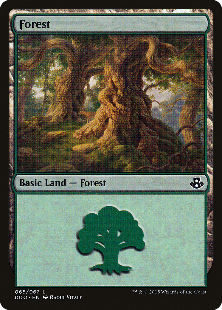 Forest (DDO-065) [Misc] Duel Decks: Elspeth vs. Kiora MTG Single Wizards of the Coast