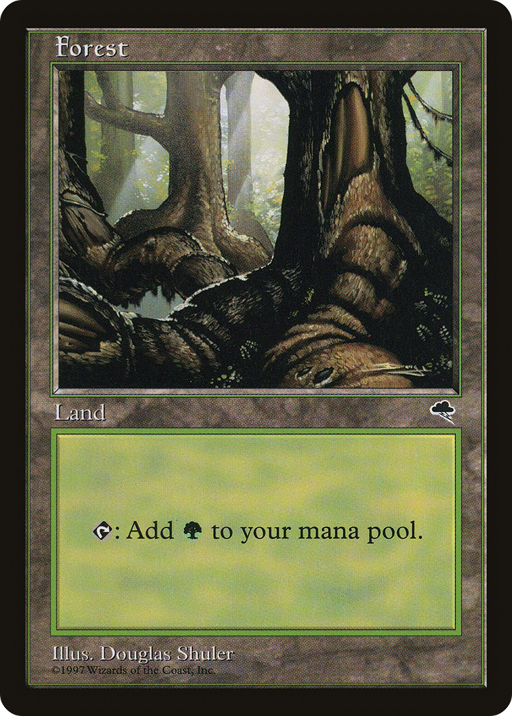 Forest (TMP-348) [Tempest] MTG Single Wizards of the Coast