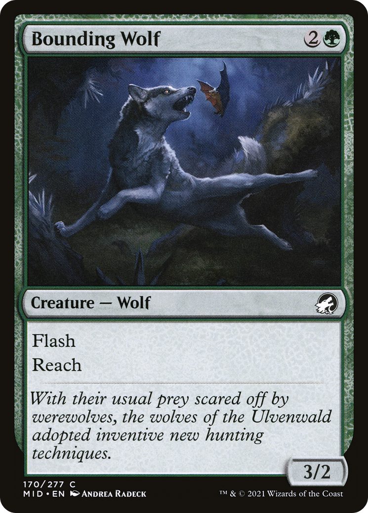Bounding Wolf (MID-170) [Innistrad: Midnight Hunt] MTG Single Wizards of the Coast