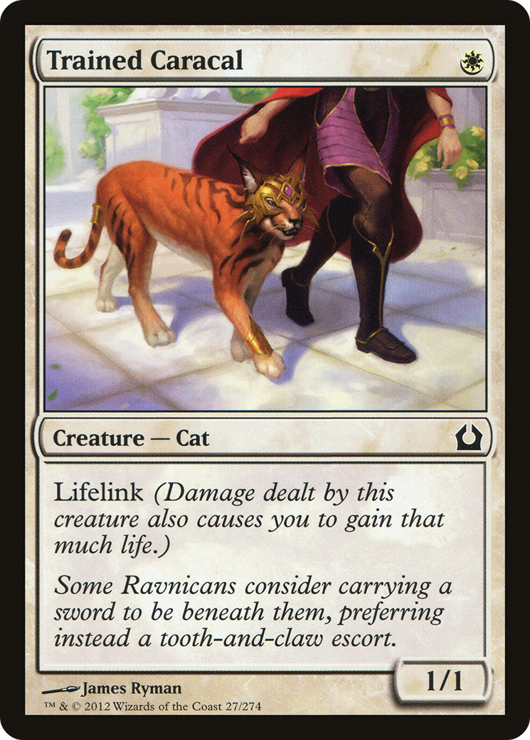 Trained Caracal (RTR-027) [Return to Ravnica] MTG Single Wizards of the Coast