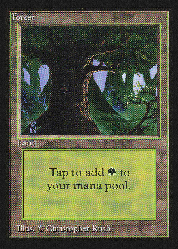 Forest (C) (IE) (IED-282) [Intl. Collectors' Edition] MTG Single Wizards of the Coast