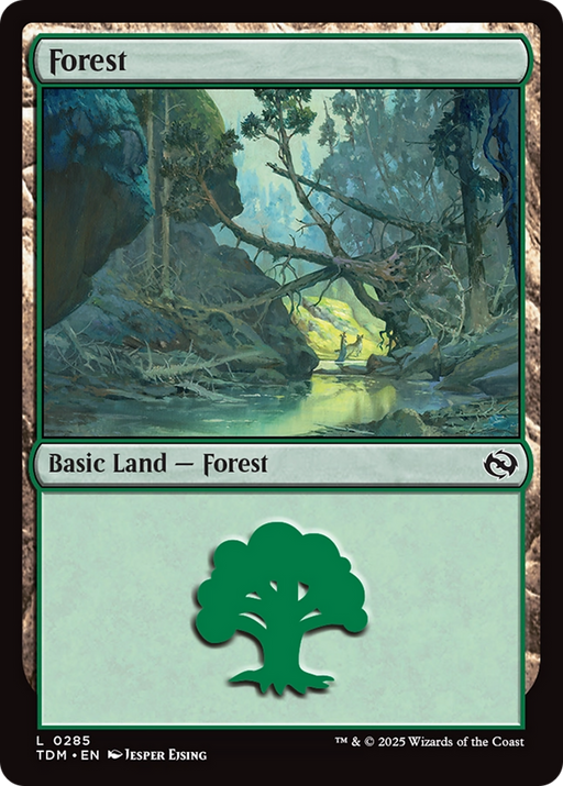 Forest (0285) (TDM-285) [Tarkir: Dragonstorm] MTG Single Wizards of the Coast
