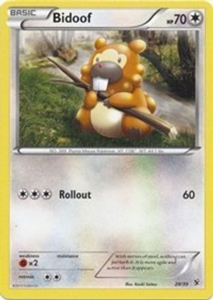 Bidoof (/39) [XY: Kalos Starter Set] Pokemon Single Pokémon