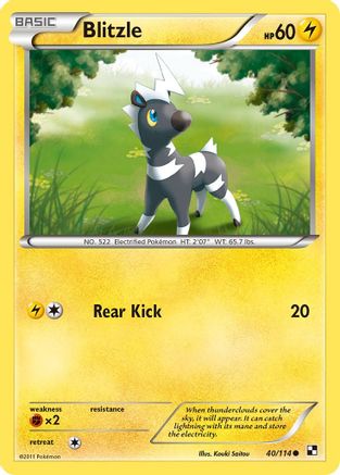 Blitzle (40) (/114) [BW: Base Set] Pokemon Single Pokémon