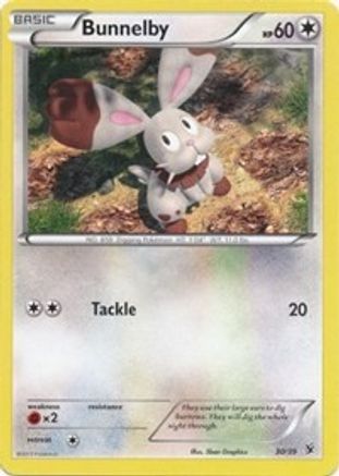 Bunnelby (/39) [XY: Kalos Starter Set] Pokemon Single Pokémon