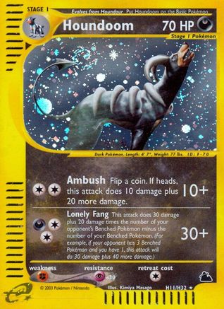 Houndoom (H11) (/144) Holofoil [Vintage: Skyridge] Pokemon Single Pokémon