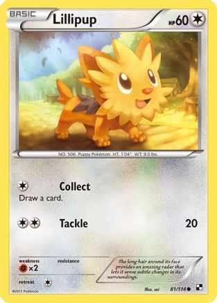 Lillipup (81) (/114) [BW: Base Set] Pokemon Single Pokémon