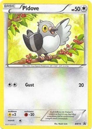 Pidove - BW15 (/101) [Promos: BW Promos] Pokemon Single Pokémon