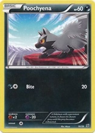 Poochyena 16/39 [XY: Kalos Starter Set] Pokemon Single Pokémon