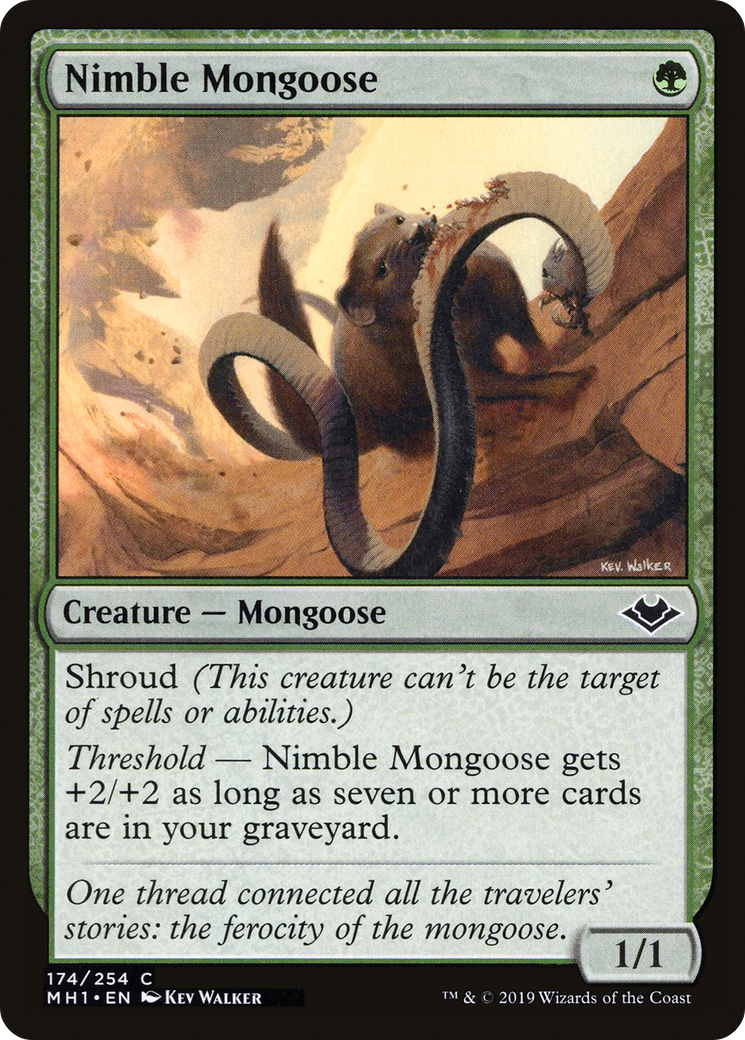 Nimble Mongoose (MH1-174) [Modern Horizons] Foil MTG Single Modern Horizons
