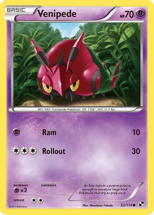 Venipede (/114) Reverse Holofoil [BW: Base Set] Pokemon Single Pokémon