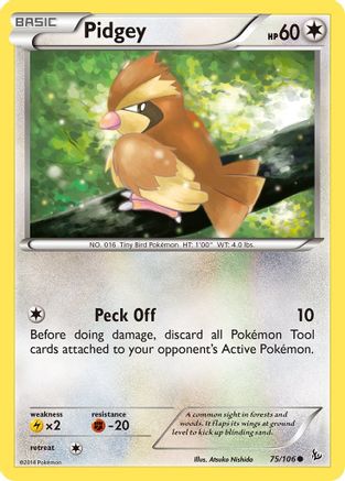Pidgey (75/106) Reverse Holofoil [XY: Flashfire] Pokemon Single Pokémon