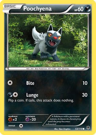 Poochyena (53/119) [XY: Phantom Forces] Pokemon Single Pokémon