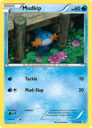 Mudkip (33/160) [XY: Primal Clash] Pokemon Single Pokémon