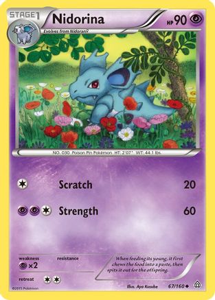 Nidorina (67/160) Reverse Holofoil [XY: Primal Clash] Pokemon Single Pokémon