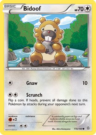 Bidoof (116/160) Reverse Holofoil [XY: Primal Clash] Pokemon Single Pokémon