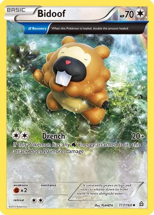 Bidoof (Alpha) (117/160) - [XY: Primal Clash] Pokemon Single Pokémon