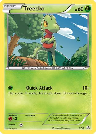 Treecko - XY36 (/211) Holofoil [Promos: XY Promos] Pokemon Single Pokémon
