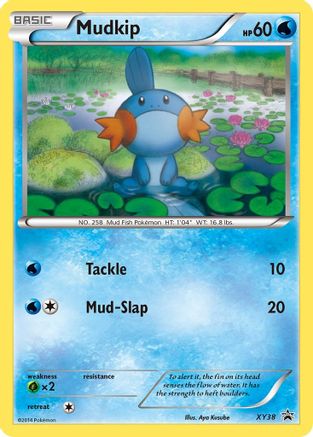 Mudkip - XY38 (/211) Holofoil [Promos: XY Promos] Pokemon Single Pokémon