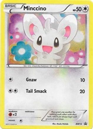 Minccino - BW13 (Cracked Ice Holo) () Holofoil [Promos: BW Promos] Pokemon Single Pokémon