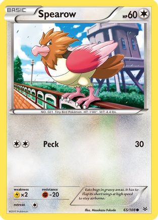 Spearow (65/108) [XY: Roaring Skies] Pokemon Single Pokémon