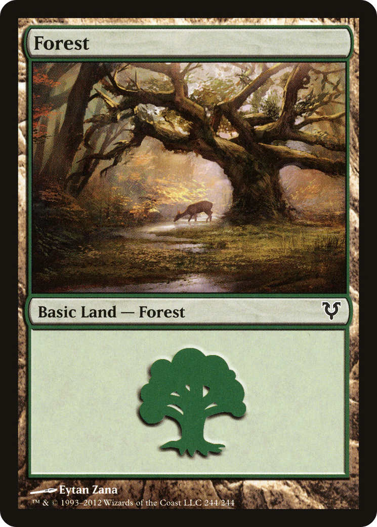 Forest (AVR-244) [Avacyn Restored] MTG Single Wizards of the Coast