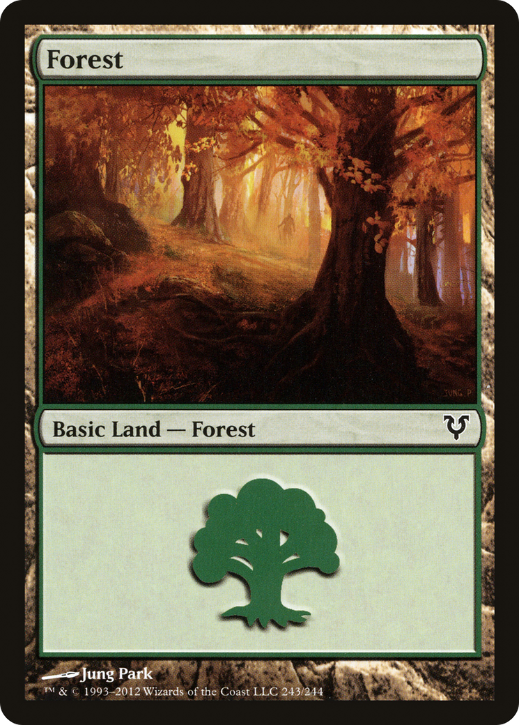 Forest (AVR-243) [Avacyn Restored] Foil MTG Single Wizards of the Coast