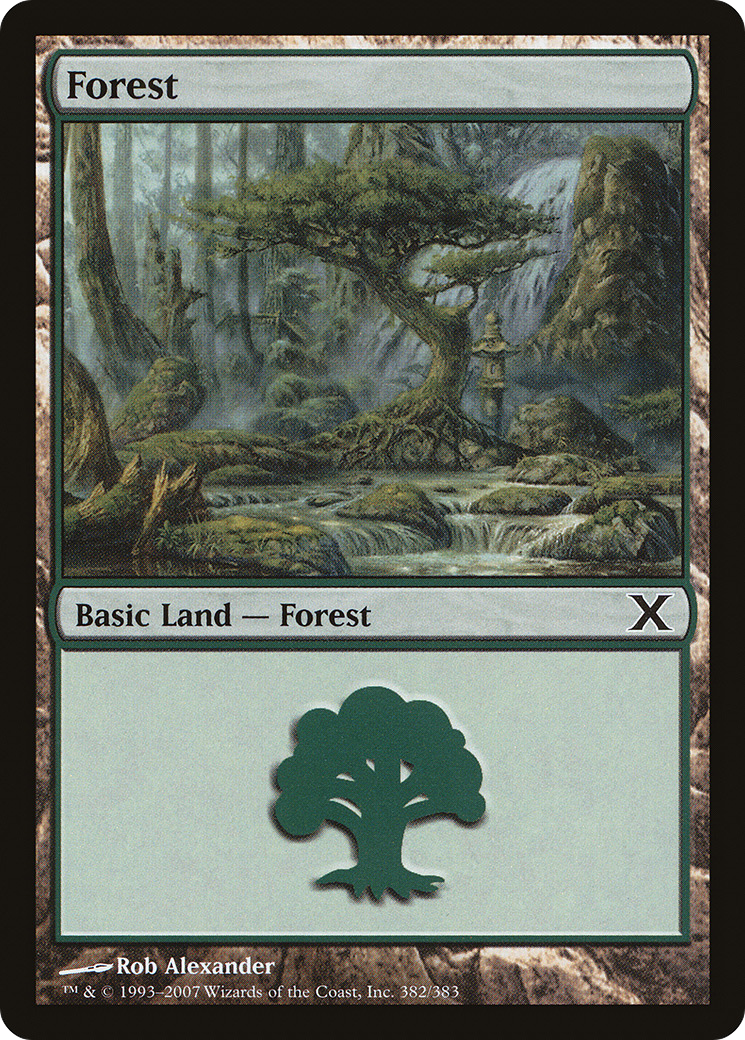 Forest (382) (10E-382) [Tenth Edition] MTG Single Wizards of the Coast